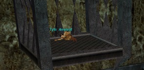 Tylis-Newleaf